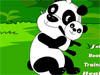 Funny and Happy Panda